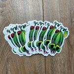 Watermelon Sticker